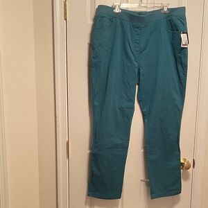 Celebrity Pink Women’s Teal Pull On Pants…size 15